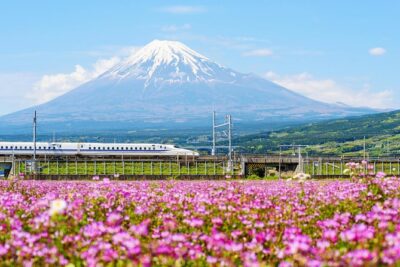 Bullet Train and Mt. Fuji Famous Food Tour - Meeting point and timing: the early start that shapes the day