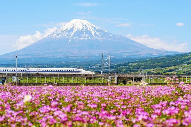 Bullet Train and Mt. Fuji Famous Food Tour - Meeting point and timing: the early start that shapes the day