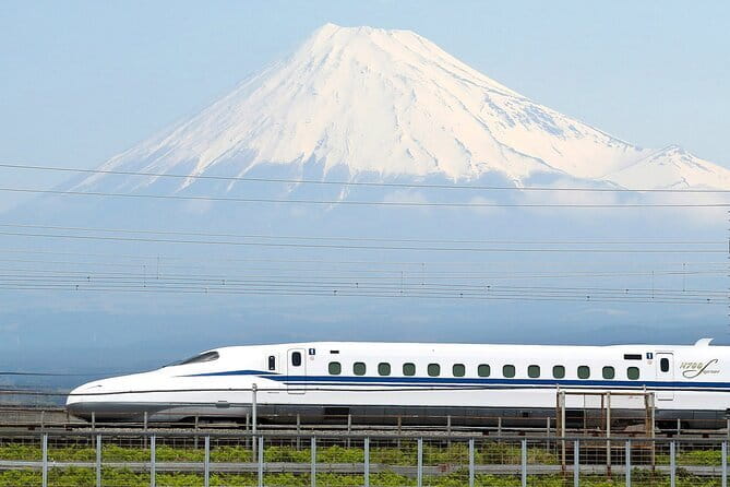 Bullet Train Experience & Mishima Shrine Private Tour from Tokyo - Hotel Pickup at 8:30 and the Easy Start at Tokyo Station