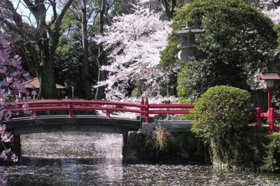 Bullet Train Experience & Mishima Shrine Private Tour from Tokyo - Mishima Taisha Shrine: A Calm Shinto Visit With 1,300+ Years Behind It