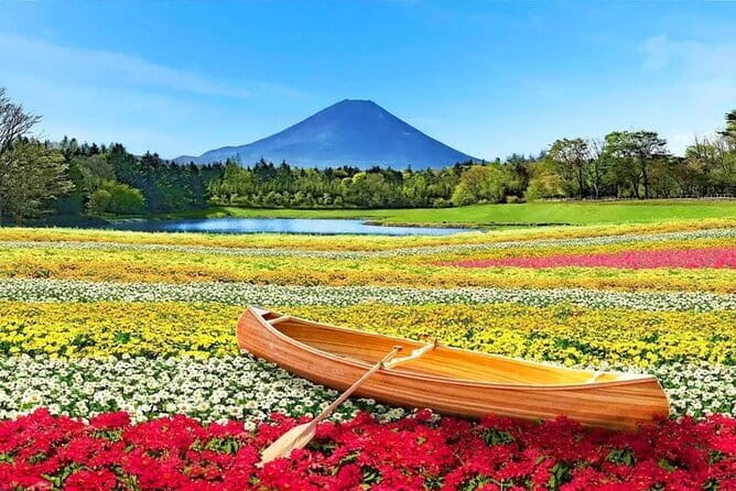 Bullet Train Experience & Mishima Shrine Private Tour from Tokyo - The 2:00 pm Shinkansen Return: A Smooth Finish Back to Tokyo
