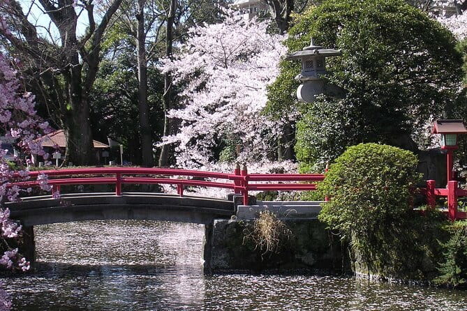 Bullet Train Experience & Mishima Shrine Private Tour from Tokyo - Mishima Taisha Shrine: A Calm Shinto Visit With 1,300+ Years Behind It