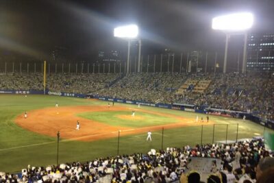 Catch a Baseball Game in Tokyo with a Local - Tickets Included - Tickets, Cheers, and a Local on Your Side