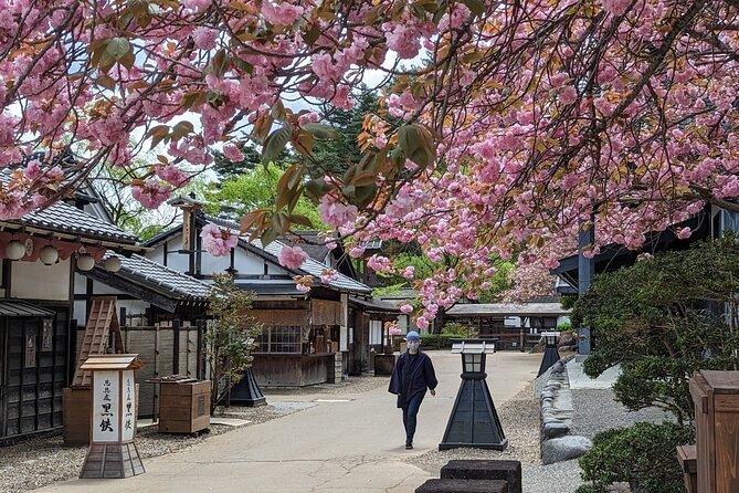 Chartered Private Tour - Tokyo to Nikko, Toshogu, Edo Wonderland - Shinkyo Bridge and the Nikko “threshold” feeling