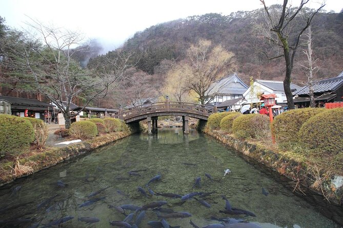 Chartered Private Tour - Tokyo to Nikko, Toshogu, Edo Wonderland - Akechidaira Ropeway viewpoint: when you want big views without hard hiking