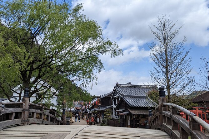 Chartered Private Tour - Tokyo to Nikko, Toshogu, Edo Wonderland - Nikko Tosho-gu: the Tokugawa shrine that turns architecture into a story