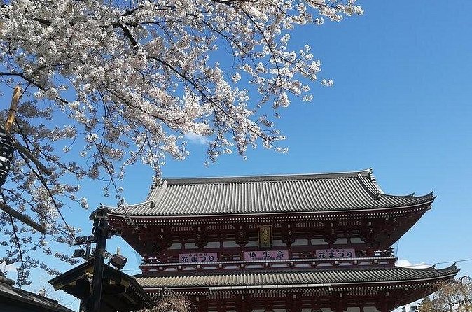 Cherry Blossom Highlights, Asakusa, Ueno, Imperial Palace Garden - Ueno Park: Thousand-Tree Views and the Tokugawa Connection