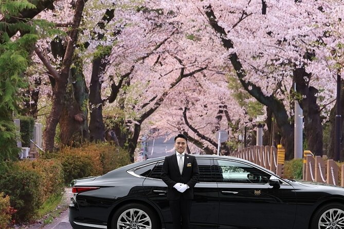 Cherry Blossom Private Tour - Key Things I’d Plan Around Before You Go