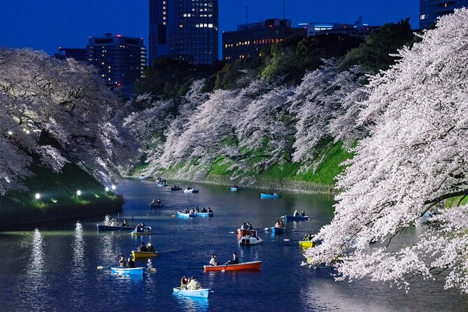 Cherry Blossom Private Tour - Guide Quality and English: Why It Changes the Day