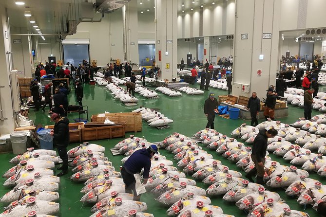 Complete Tuna Auction & Toyosu Fish Market Tour - Key Things That Make This Tour Work So Well