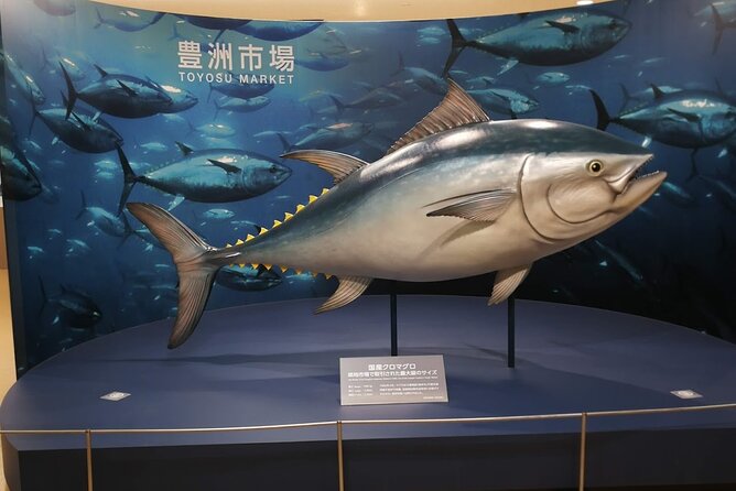 Complete Tuna Auction & Toyosu Fish Market Tour - 4:30 A.M. Pickup, Taxi Reality, and What You’re Really Paying For