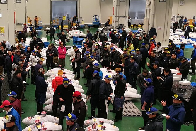 Complete Tuna Auction & Toyosu Fish Market Tour - The Auction Floor to the Deck: Watching Tuna From the Best Possible Spots