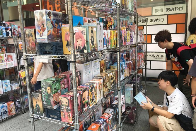 Crazy about Anime! Private Full Day Tokyo Manga Anime Tour by Chartered Vehicle - How the Private Guide Changes the Whole Day