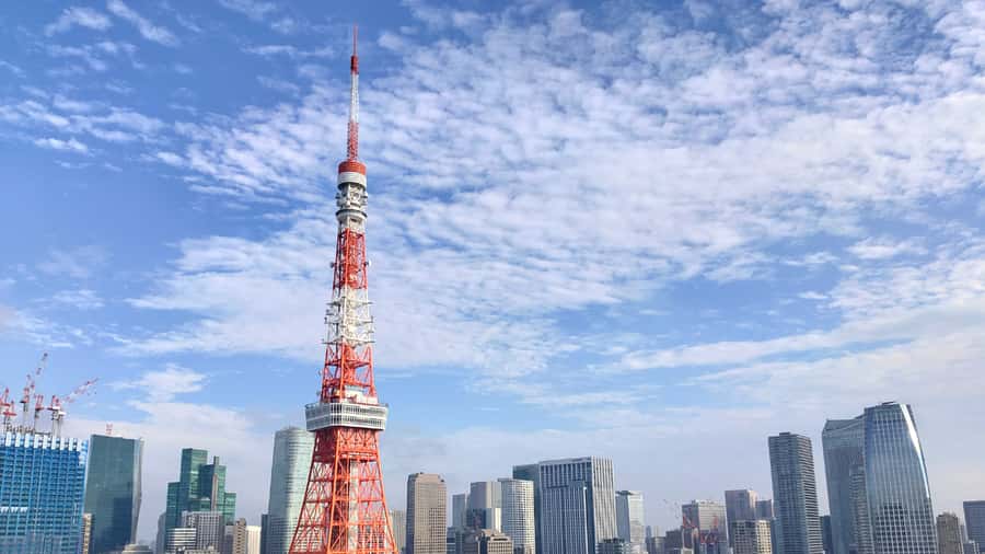 Crowd-Free Tokyo : teamLab, Roppongi Hills Views & NACT - What to Bring for a Smooth Afternoon