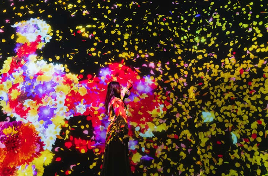 Crowd-Free Tokyo : teamLab, Roppongi Hills Views & NACT - National Art Center, Tokyo: Contemporary Work in a Serious Setting