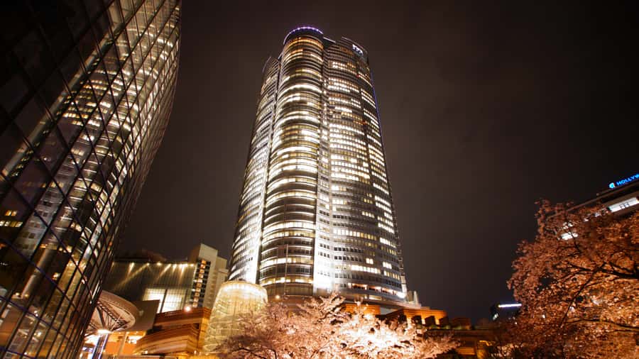 Crowd-Free Tokyo : teamLab, Roppongi Hills Views & NACT - teamLab’s Digital Finale at Borderless-Style Spaces
