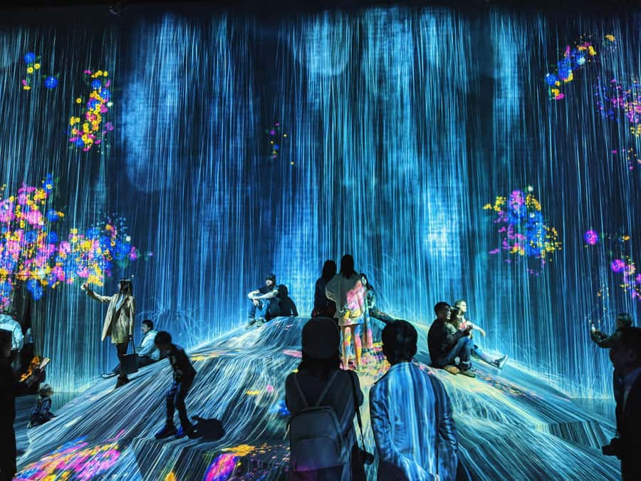 Crowd-Free Tokyo : teamLab, Roppongi Hills Views & NACT - Price and Value: Is $129 a Good Deal