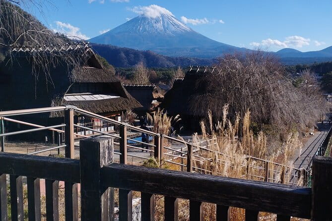 Customisable Mt.Fuji Private Day Trip, English Speaking Driver - Key things I’d zero in on
