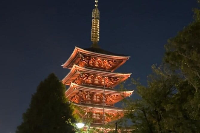 Customizable Private Tokyo Trip with an English Speaking Driver - The 10-Hour Private Tokyo Day That Saves You From Train Tetris
