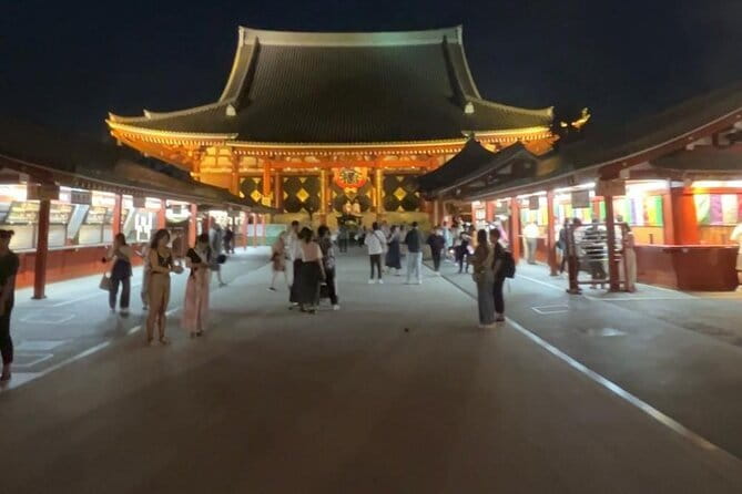 Customizable Private Tokyo Trip with an English Speaking Driver - Starting With Hotel Pickup and Flexible Routing