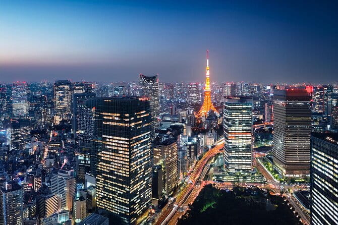 Customizable Tokyo Tour - Key Things That Make This Tokyo Tour Worth It