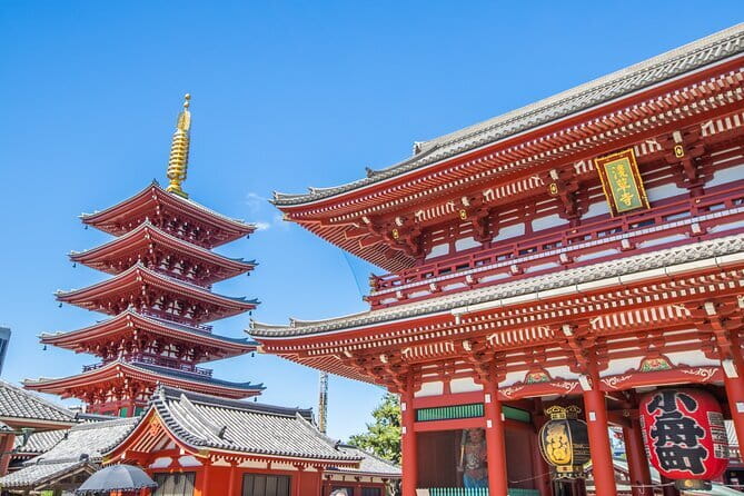 Customizable Tokyo Tour - Choosing Your Day: Shrines, Sushi, and Nightlife Stops