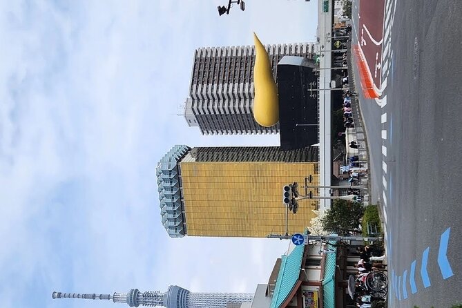 Day Private City Tour of Tokyo with English speaking driver - Crowds, Timing, and When You Should Shift the Day