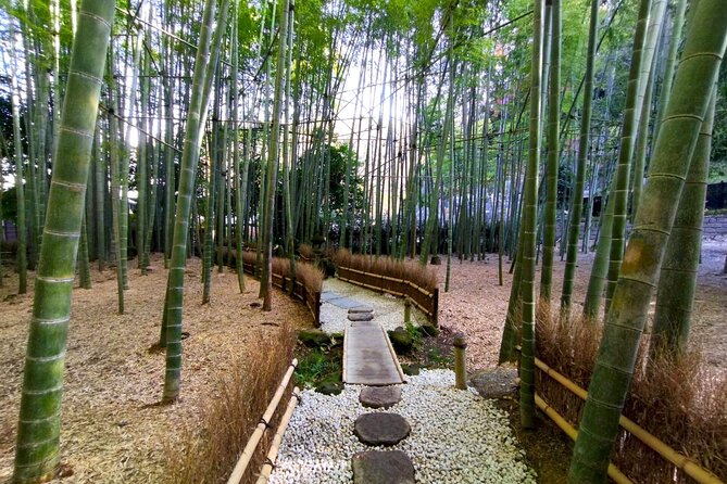 Day Trip to Kamakura & Enoshima: Shrines, Seaside, Temples & Tea - Bamboo Temple Morning: Tea House Time Plus a Guided Walk