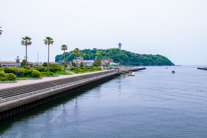 Day Trip to Kamakura & Enoshima: Shrines, Seaside, Temples & Tea - The Koi Feeding Moment and Tea Break Logic