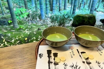 Day Trip to Kamakura & Enoshima: Shrines, Seaside, Temples & Tea - Kotoku-in and the Great Buddha: Why the Included Admission Matters