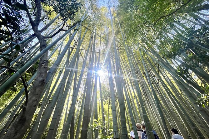 Day Trip to Kamakura & Enoshima: Shrines, Seaside, Temples & Tea - Who Should Book This, and Who Might Skip It