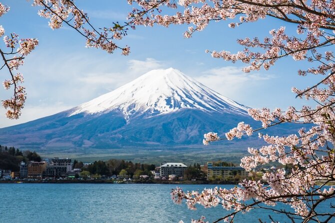 Day Trip To Mount Fuji and Hakone from Tokyo with English Guide - Key Highlights You’ll Actually Feel