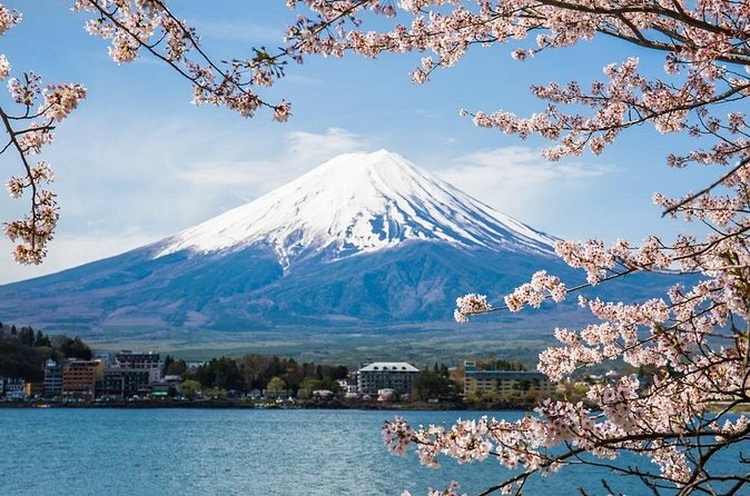 Day Trip To Mount Fuji and Hakone from Tokyo with English Guide - Hakone Ropeway and Owakudani Valley: Volcanic Views You Can Smell