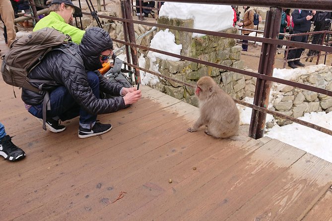 Day Trip to See the Snow Monkeys from Shinjuku with Lunch Buffet - The buffet lunch with 130 foods: a big value lever