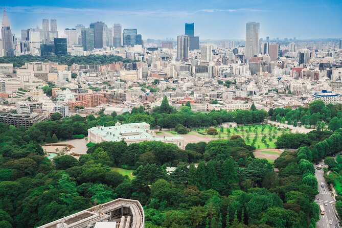Discover Japanese Politics Over a Coffee in Tokyo - The Akasaka Palace View Is Part of the Point