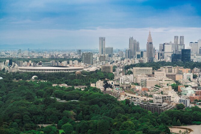 Discover Japanese Politics Over a Coffee in Tokyo - Price and Value: When $195 Buys a Rare Access Moment