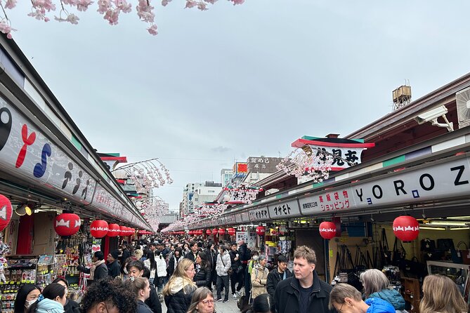 Discover the hidden gems of Tokyo:Private Tour with a Local Guide - Shrine Power, Learning Power: Imado Shrine and Yushima Tenmangu