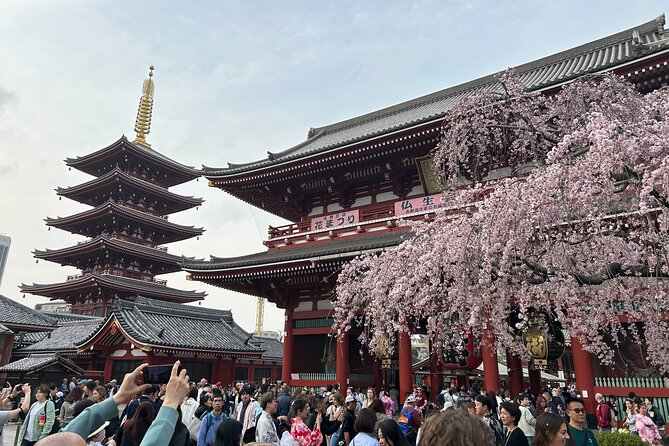 Discover the hidden gems of Tokyo:Private Tour with a Local Guide - Akihabara and Yodobashi: Electronics, Home Appliances, and PC Peripherals