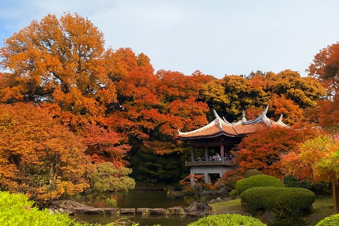 Discover the History of Shinjuku Gyoen – Private Walking Tour - Key highlights you will notice right away