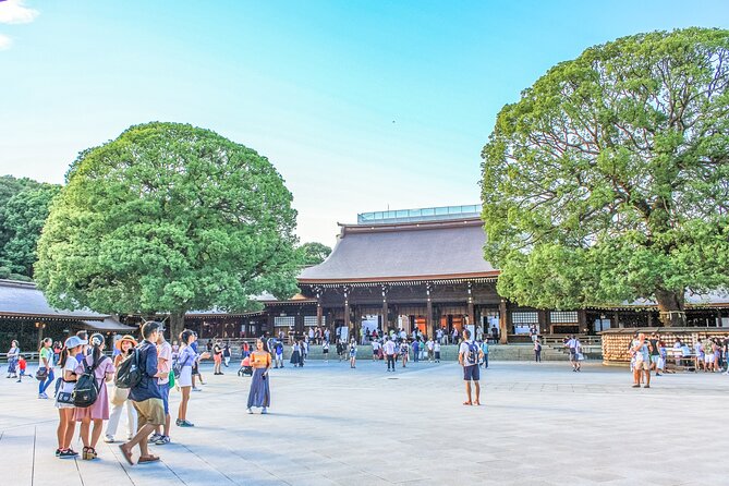 Discover Tokyo, Private Customized Tour with Expert Guides - Tsukiji Fish Market legacy: the old site, the new reality, and what to do with it