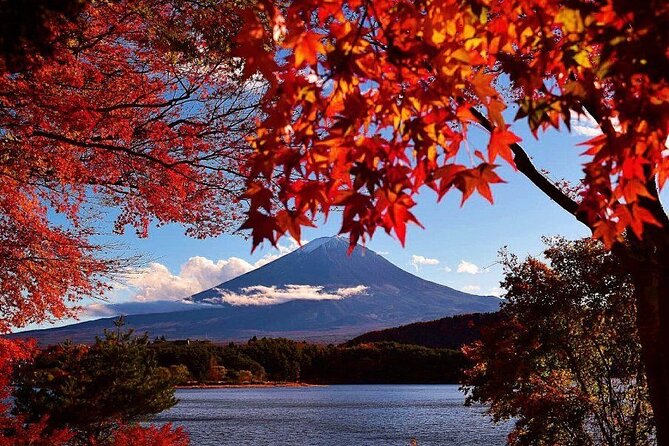 Enjoy Mt. Fuji View and free time shopping at Gotemba Outlets! - The tour vibe: what makes it feel organized