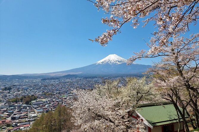 Enjoy Mt. Fuji View and free time shopping at Gotemba Outlets! - Who this trip is best for