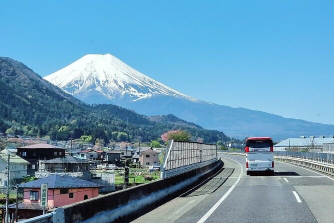 Enjoy Mt. Fuji View and free time shopping at Gotemba Outlets! - Oishi Park on Lake Kawaguchi: where Fuji shows up (or doesn’t)