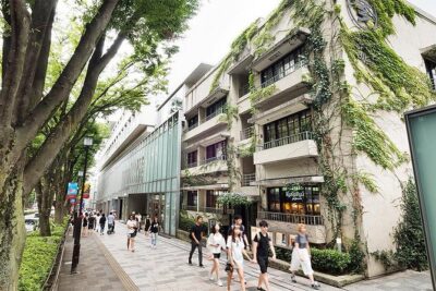 Essential tour for fashion and art in Tokyo for 6 hours with local lunch - Shibuya Cat Street: Casual Fashion With Real People-Style Energy