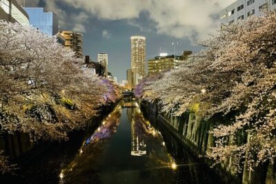 Exciting Evening of Eats in Tokyo - Meeting at Naka-meguro Station: The Smart Way to Start Dinner Mode
