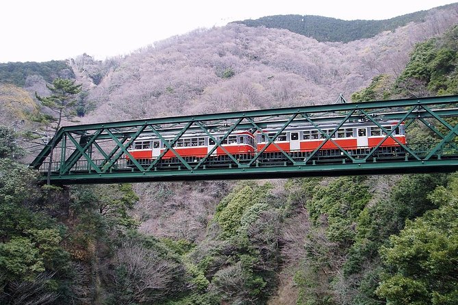 Exciting Hakone - One Day Tour from Tokyo - A tight 10-hour timeline that avoids the Tokyo headache