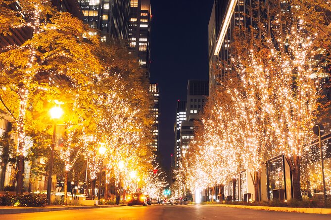 Experience the Magic of Christmas in Tokyo - Ginza to Marunouchi: From Storefront Sparkle to Champagne-Gold Trees