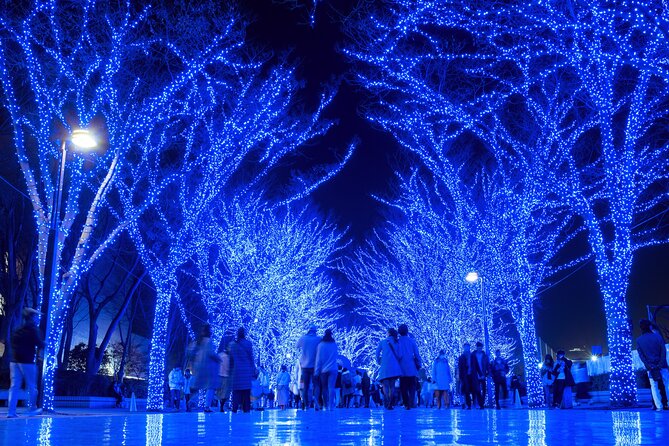 Experience the Magic of Christmas in Tokyo - Roppongi’s Keyakizaka: The Winter Walk That Feels Like a Show