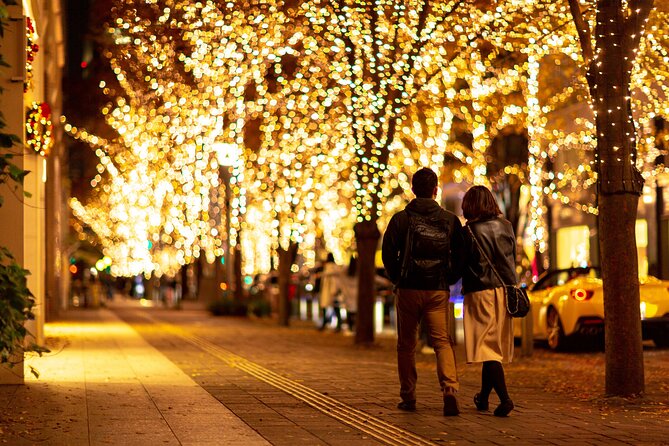 Experience the Magic of Christmas in Tokyo - Shibuya’s Blue Grotto: The 900-Meter Blue Walk