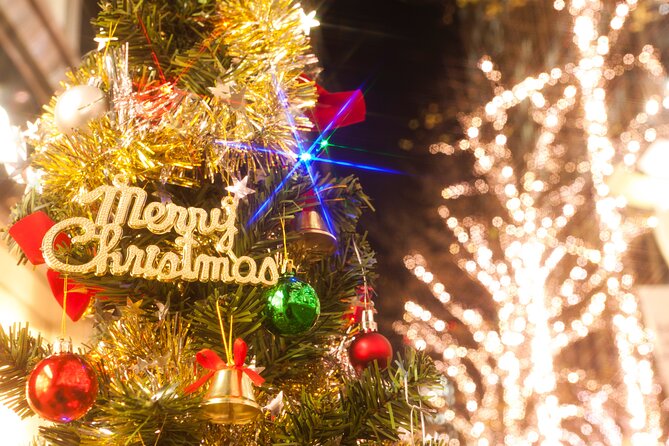 Experience the Magic of Christmas in Tokyo - Rainbow Bridge to Odaiba: Start With the Best Winter Backdrop
